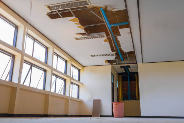 Best Mold removal after water damage  in South Russell, OH