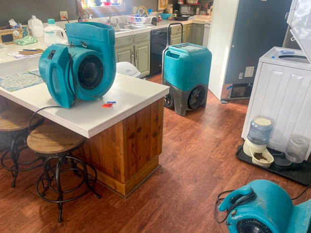 Best Water damage mitigation services  in South Russell, OH