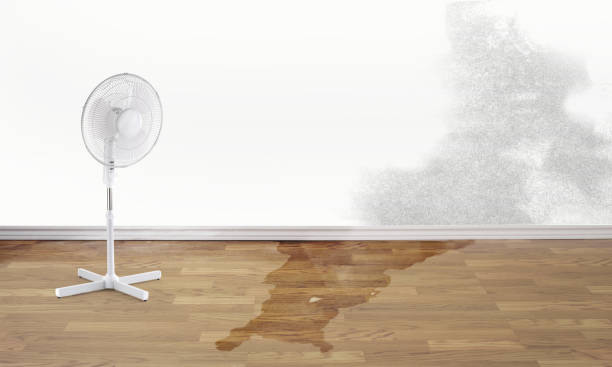  South Russell, OH Water damage restoration Pros