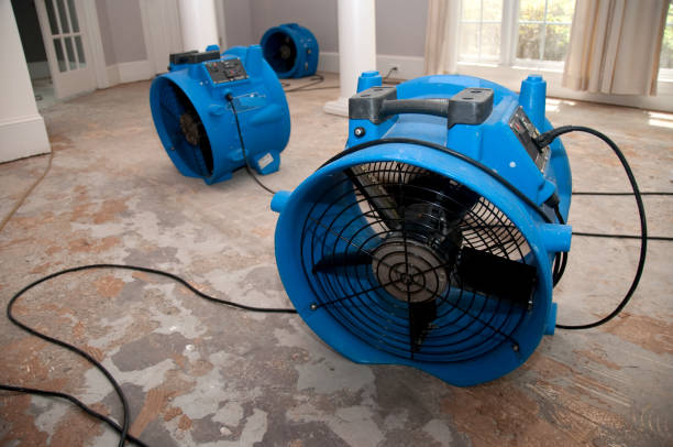 Best Professional water damage repair  in South Russell, OH