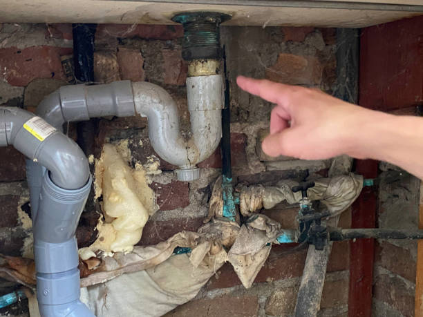 Best Water damage restoration near me  in South Russell, OH
